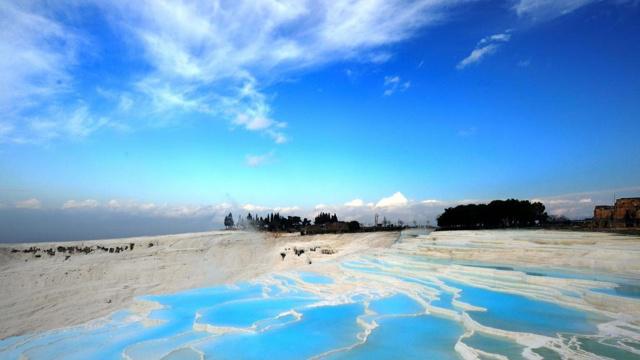 这些生肖成功是因为保持足够的饥饿感