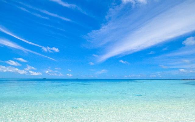 八字命理带庚申好吗男人