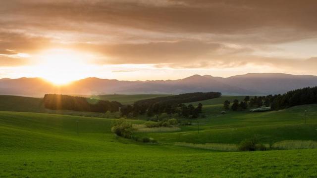 从来不缺贵人相助的几大生肖