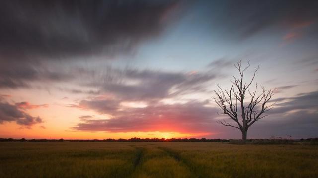 男命八字克我者为子孙