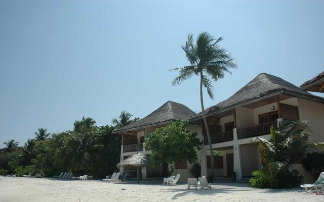 擅于抱大腿 不知不觉就比别人爬得更高的生肖