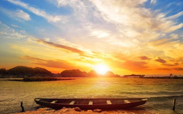 猫咪能看新家风水吗