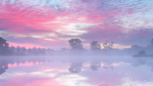 偏印女命的八字特点 偏印女命的八字特点