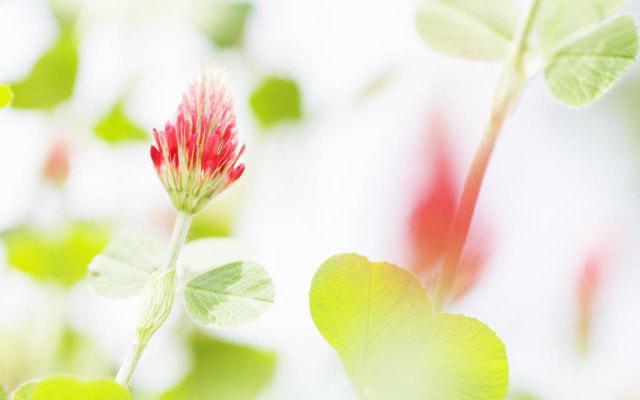 玄空风水和金锁玉关相同吗