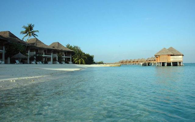 八字命格大是什么意思