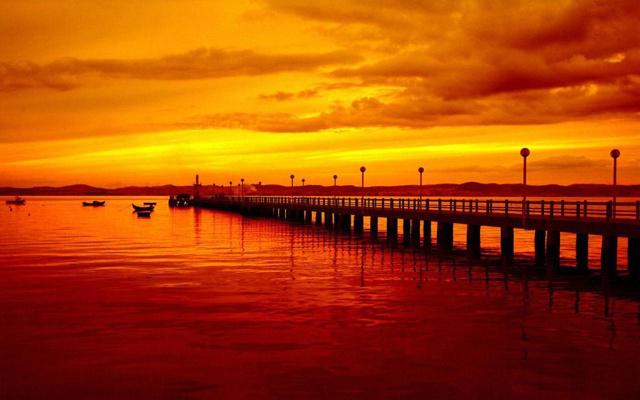 丑肖有哪几个生肖