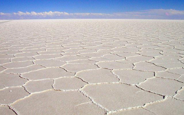 男命丙子庚子辛丑丁酉八字 男命丙子庚子辛丑丁酉八字