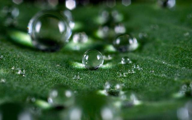 绝情到能把手机号也拉黑的生肖女