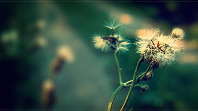 本命年红绳要谁送 本命年红绳可以提前戴么