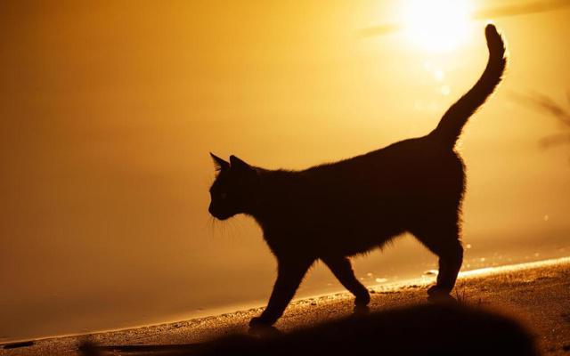 戴戒指讲究风水吗?女人