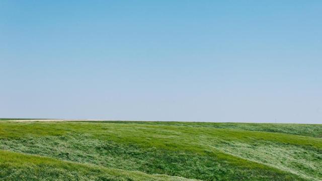 八字天干地支如何排盘命理