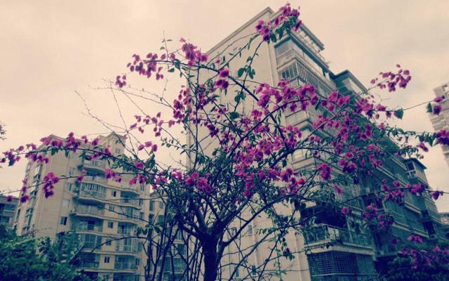 接新车有风水讲究吗