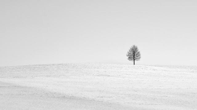 八字命理五行缺金