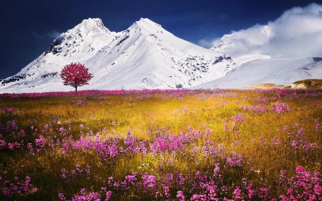 建厂风水和阳宅风水相同吗