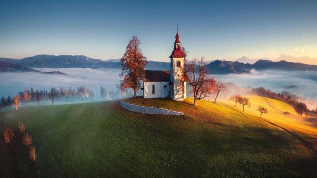 乌鸟私情 再忙也要陪伴父母的生肖 乌鸟私情 再忙也要陪伴父母的生肖