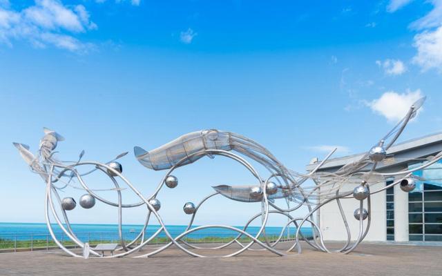 鸡和老鼠合不合父母 鸡与鼠亲情关系不合怎么办