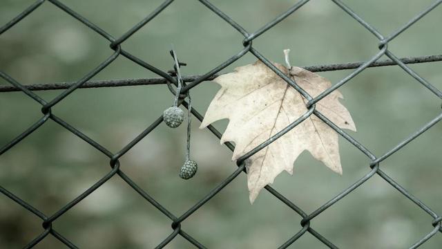 家中脏乱会影响风水吗