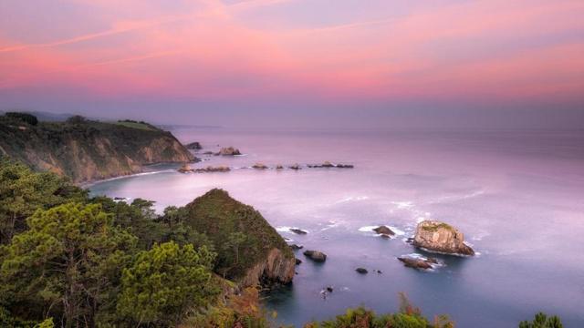 老虎和老鼠合不合兄弟姐妹 虎鼠关系好不好 老虎和老鼠合不合兄弟姐妹 虎鼠关系好不好