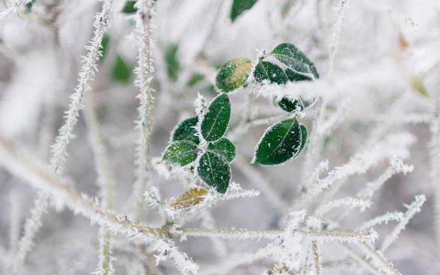 八字命局中下是什么意思