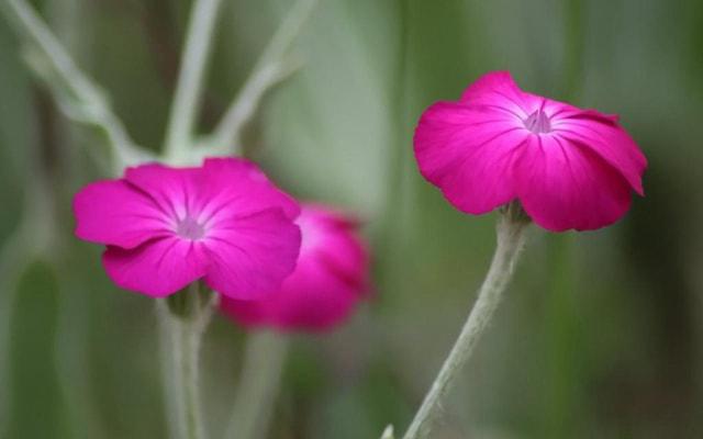 八字命格不全的女人 八字命格不全的女人