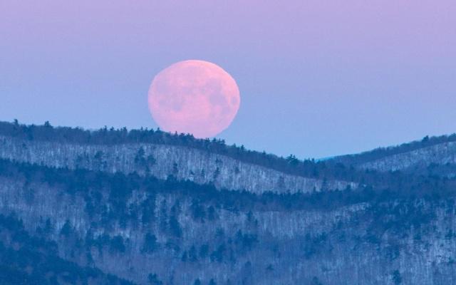 学风景园林要学风水吗?女生