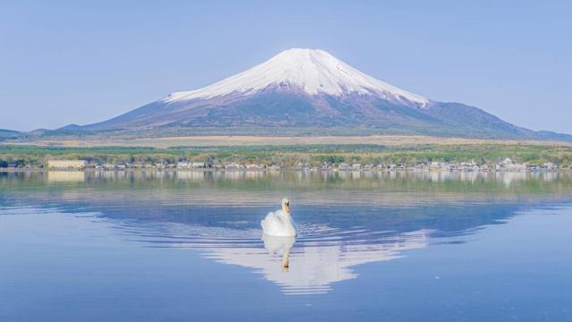 哪些八字是大富大贵命局 哪些八字是大富大贵命局