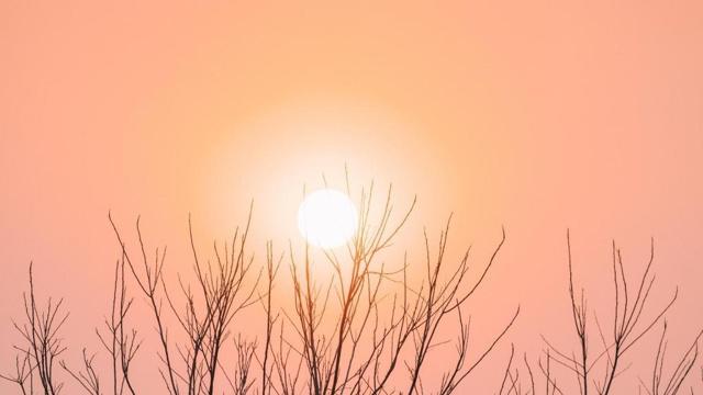 没有对象就会失去动力的生肖男