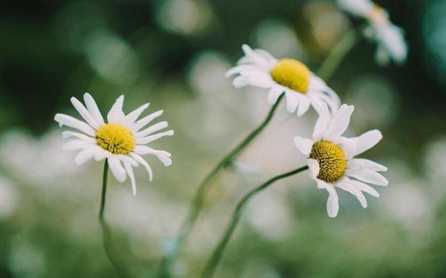 家里丁字床铺风水吉利吗