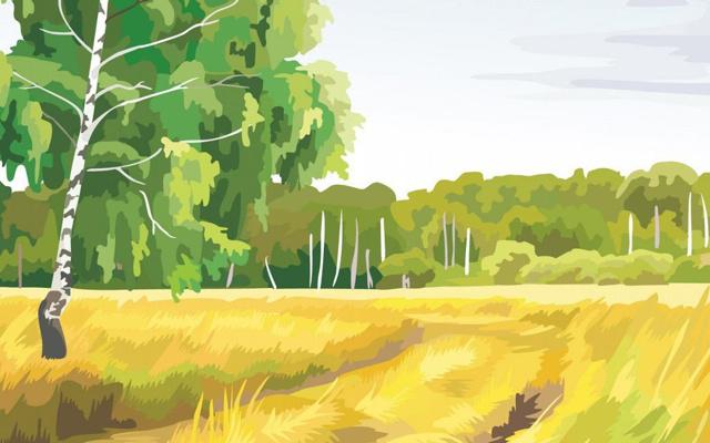 生辰八字命理解释详解 生辰八字命理解释详解