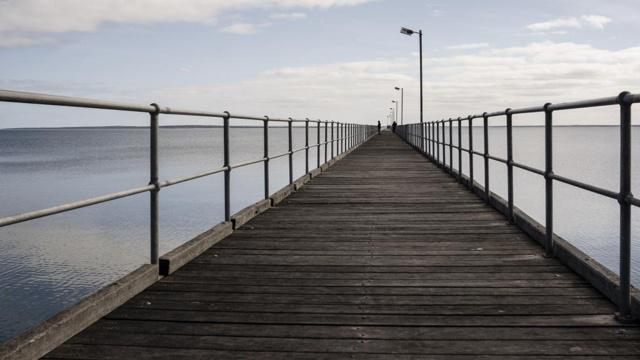 社会地位高的生肖男 成为人上人未来太美好