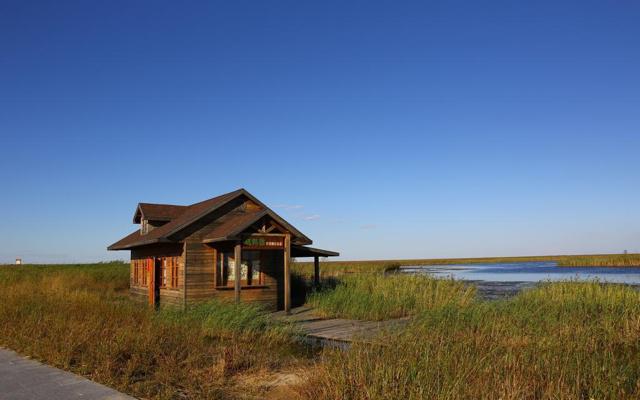 八字不见偏财正印男命好吗