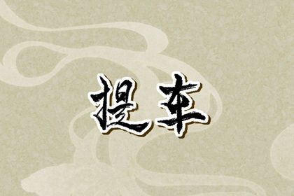 2025年03月03日提车日子如何 提新车吉利吗