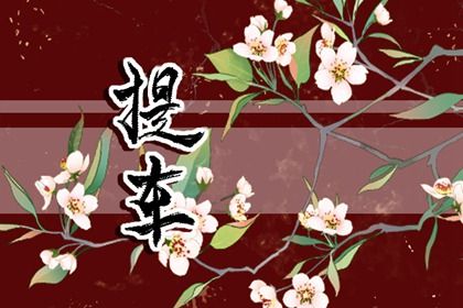 2025年农历五月廿五提车好吗 提新车吉利吗